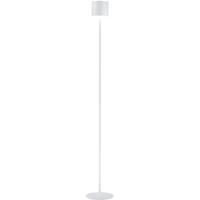 LED Vloerlamp - Musterring Marisa - 1 Lichtpunt van 3 Watt - Dimbaar - Aanpasbare Lichtkleur - Hoogte Aanpasbaar - Geheugenfunctie - Nachtlamp - Afstandsbediening - Mat Wit - Metaal