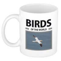 Foto mok Jan van gent beker - birds of the world cadeau Jan van gent vogels liefhebber