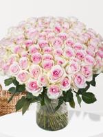100 zachtroze rozen - Sweet Revival