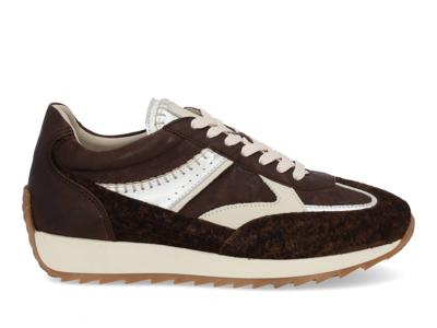 Piedi Nudi Harlem 02.04 nut creme Bruin maat 42