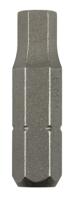 Bosch Accessories Inbus-bit 4 mm C 6.3 2 stuk(s)