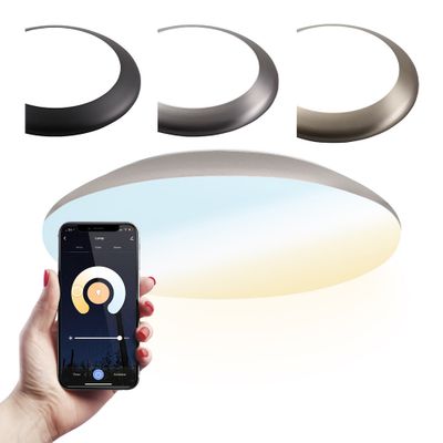 HOFTRONIC SMART LED Bulkhead 30 cm - Plafondlamp - WiFi + Bluetooth - 18W 1800 Lumen - Lichtkleur instelbaar - Dimbaar - IK10 - Chroom - IP65 Waterdicht