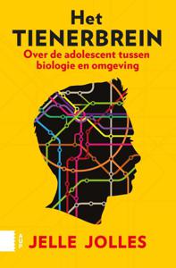 Het tienerbrein (Paperback)