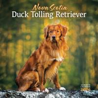 Nova Scotia Duck Tolling Retriever Kalender 2026 Kalender 2026