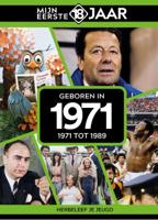 Geboren in 1971 (Hardback)