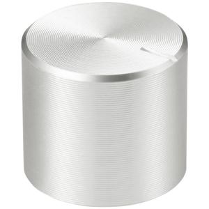 TRU COMPONENTS TC-11613860 Draaiknop Met knopmarkering Zilver (Ø x h) 15 mm x 13 mm Aluminium, Plastic 1 stuk(s)