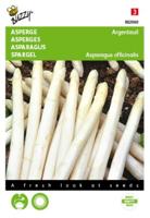 Asperge Argenteuil Tuinplus - Buzzy
