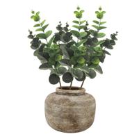 Kunstbloem/kunsttak Eucalyptus Bella - 3x - 38 cm - groen - kunst zijdebloemen