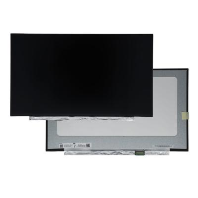 OEM 17.3 inch lcd scherm 1920x1080 mat 30pin edp, ips