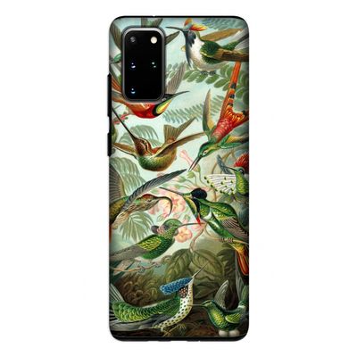 Haeckel Trochilidae: Samsung Galaxy S20 Plus Tough Case