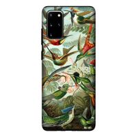 Haeckel Trochilidae: Samsung Galaxy S20 Plus Tough Case