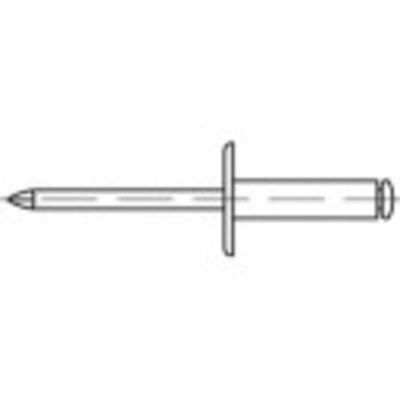 TOOLCRAFT 160149 Open popnagel (Ø x l) 4 mm x 12 mm Aluminium Staal 500 stuk(s)