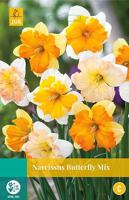 Narcissus Spleetkronig mix 4 bollen - Jub