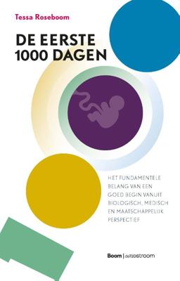 De eerste 1000 dagen (Paperback)