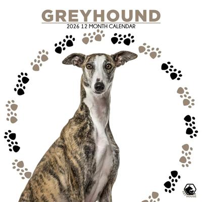 Greyhound Kalender 2026