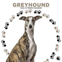 Greyhound Kalender 2026