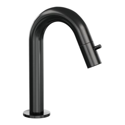 Opbouw Fonteinkraan Brauer Gunmetal Edition Met Gebogen Uitloop Gunmetal Geborsteld PVD