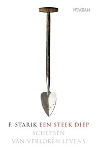 Een steek diep - F. Starik - ebook