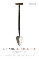 Een steek diep - F. Starik - ebook