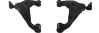 Draagarm Set SETSCA9116SCA9117