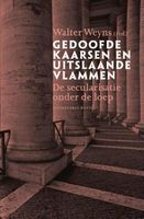 Gedoofde kaarsen en uitslaande vlammen - eBook (9789463100700) - thumbnail