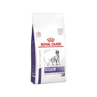 Royal Canin dental hondenvoer 13kg zak