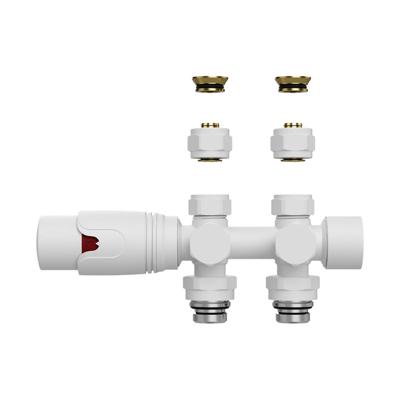Belrad Radiatorkraan - 19.8x4.3 - thermostatisch - muur- en vloeraansluting - 1/2MX16/2 M30 - mat wit BLR307