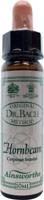 Ainsworths Hornbeam Bach 10 Milliliter