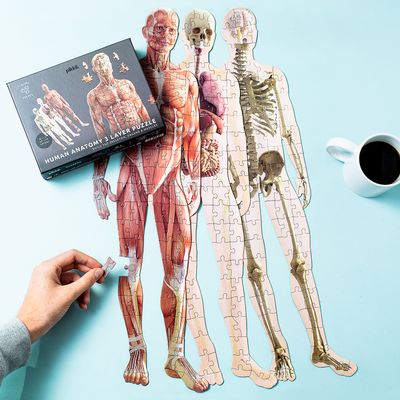 Human Anatomy Puzzle