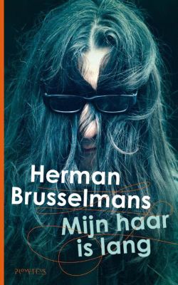 Mijn haar is lang - Herman Brusselmans - ebook
