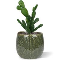 Mini Cactus kunstplant 20cm