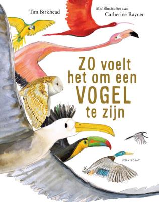 Zo voelt het om een vogel te zijn (Hardback)