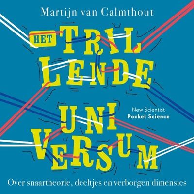 Het trillende universum