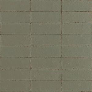 Ragno Glace RAEX Wandtegel 075X200 Muschio 9mm Glans