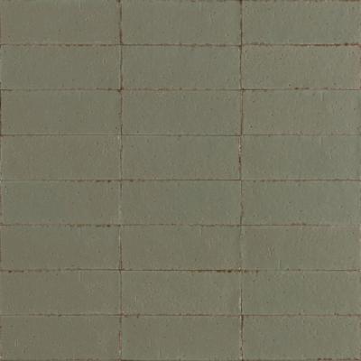 Ragno Glace RAEX Wandtegel 075X200 Muschio 9mm Glans