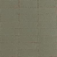 Ragno Glace RAEX Wandtegel 075X200 Muschio 9mm Glans