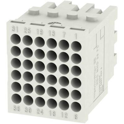 RockStar® MODU plug HDC MHD 36 FC Weidmüller Inhoud: 1 stuk(s)