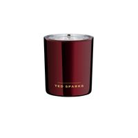 Ted Sparks - Geurkaars Demi - Birch & Patchouli