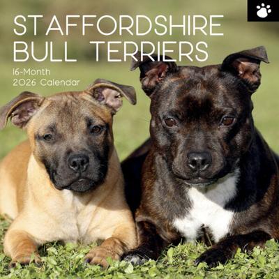 Staffordshire Bull Terrier Kalender 2026