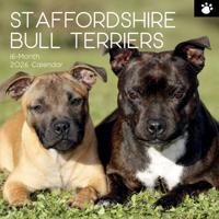 Staffordshire Bull Terrier Kalender 2026