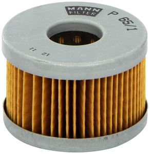 Brandstoffilter P651x