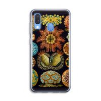 Haeckel Ascidiae: Samsung Galaxy A40 Transparant Hoesje