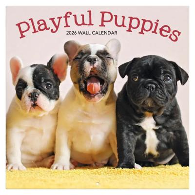 Playful Puppies Kalender 2026 Playful Puppies Kalender 2026