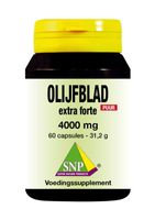 Olijfblad extract extra forte puur