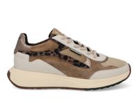 Floris van Bommel Suvi 03.04 taupe taupe maat 42