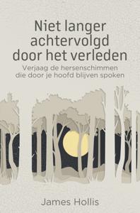 Niet langer achtervolgd door het verleden (Paperback)