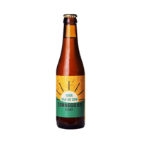 Bier van de Zon zonnegoud 33CL