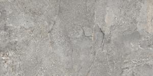 Dateg Milestone Grijs 60*120 Inhoud doos 1,44m2