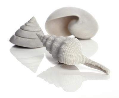 Schelp set 3 wit - Biorb