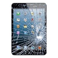iPad mini Displayglas & Touchscreen Reparatie - Zwart - thumbnail
